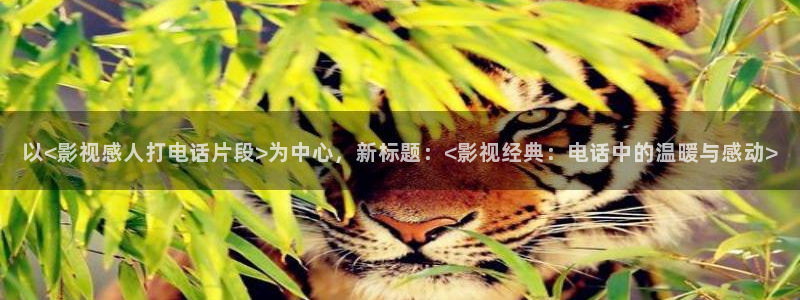 好先生电视剧免费播放星辰影视